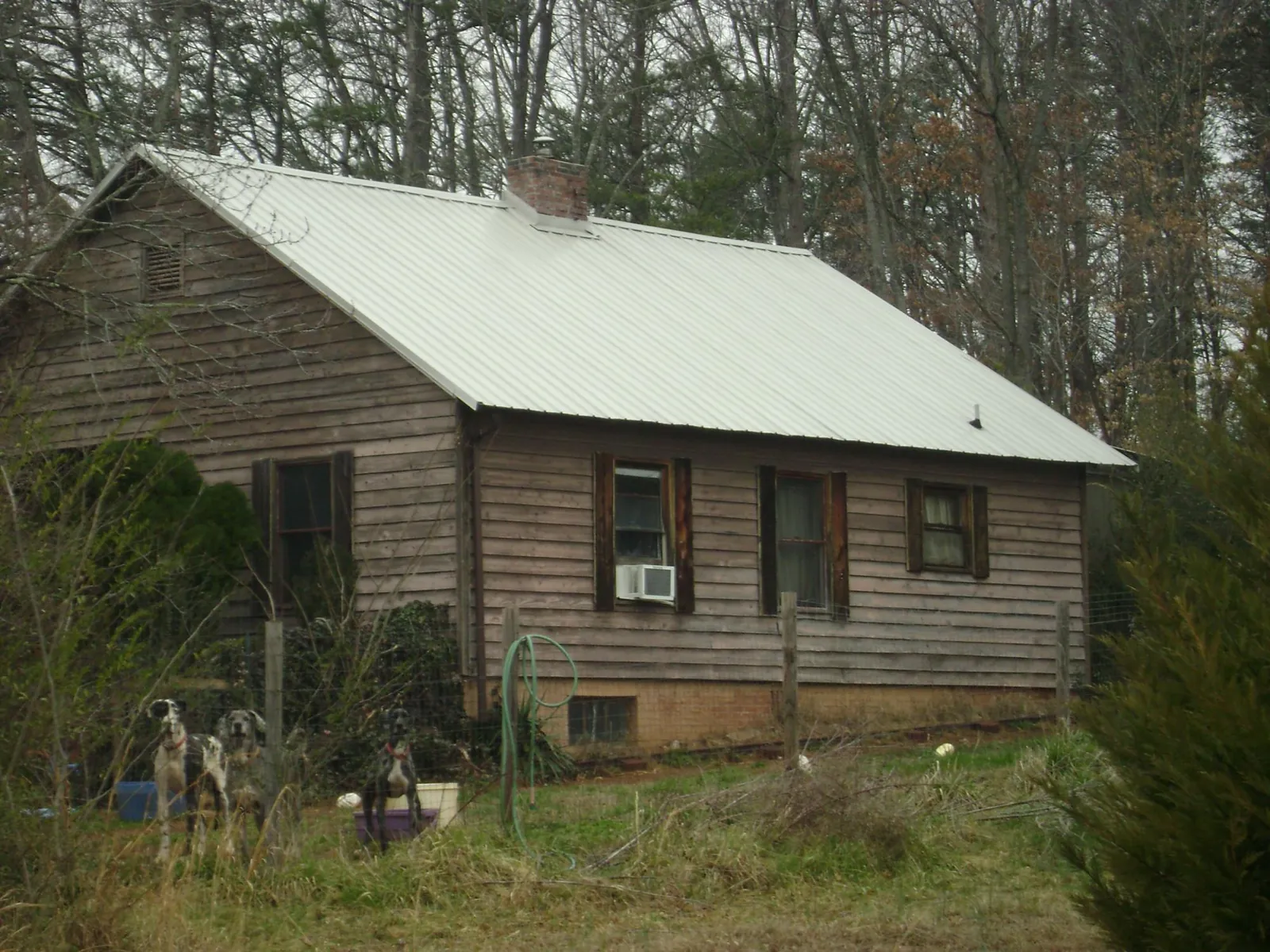 White metal roof on an old wood sided farmhouse, from a Asphalt Shingle Roof Repair job in Whitestone